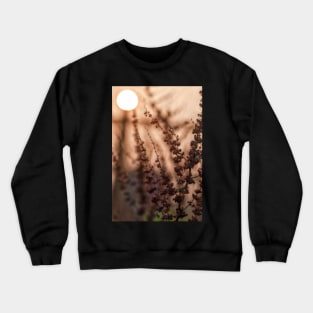 Broad-leaved Dock (Rumex obtusifolius) Crewneck Sweatshirt